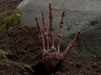 Click to watch 'Skull and Bones' (popup) Millennium